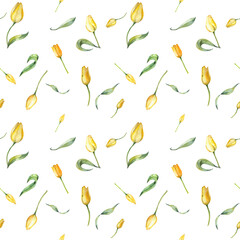 floral seamless pattern made of yellow tulips and leaves. Botanical watercolor illustration on a white background. for the design of postcards.