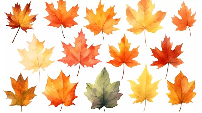 Collection of Maple leaves in watercolor style isolated. Aquarelle leaves for background. generative ai