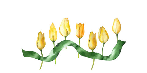 a floral spring composition of yellow tulips and green ribbon. botanical watercolor illustration. on a white background for your design. - obrazy, fototapety, plakaty