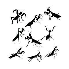 silhouette of a praying mantis or black insect