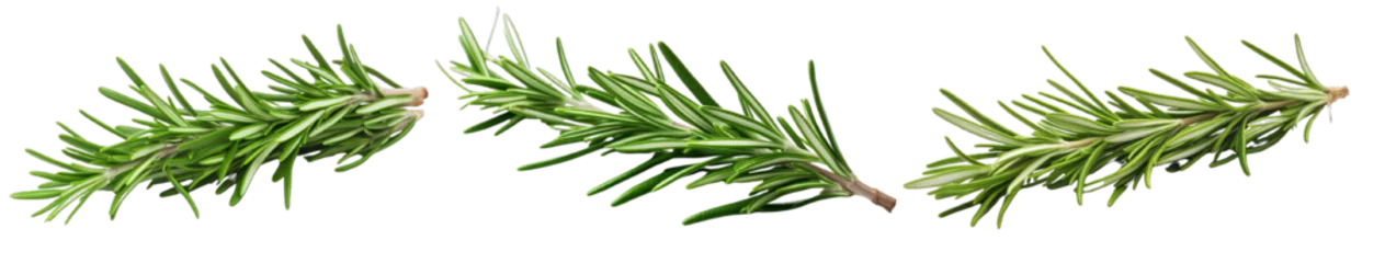 Fotobehang Collection of PNG. Rosemary isolated on a transparent background. © morepiixel
