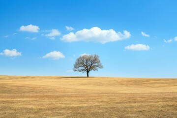 Lone tree in a vast Open field under a clear blue sky