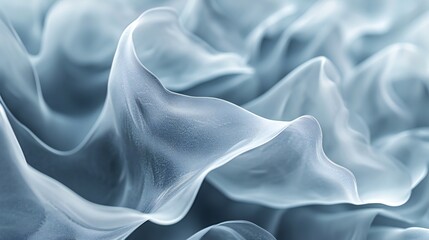 Fototapeta premium Close-up of a frozen silky leaf, capturing winter's soft and wavy touch.