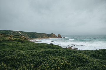 Phillip Island walking track 