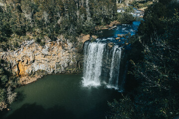 Dangar Falls, Dorrigo, Waterfall way, New South Wales