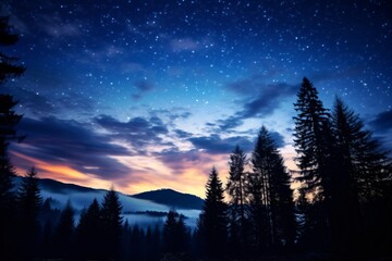 Fototapeta premium Illustration of night sky with stars