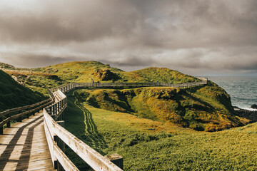 Phillip Island - The Nobbies, Walking Tracks
