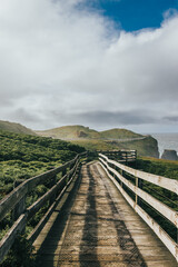 Phillip Island - The Nobbies, Walking Tracks