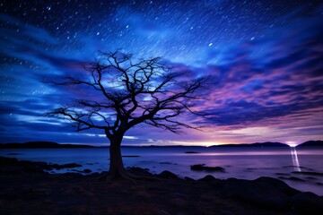 Night time beach photography with night sky and a beautiful landscape - obrazy, fototapety, plakaty