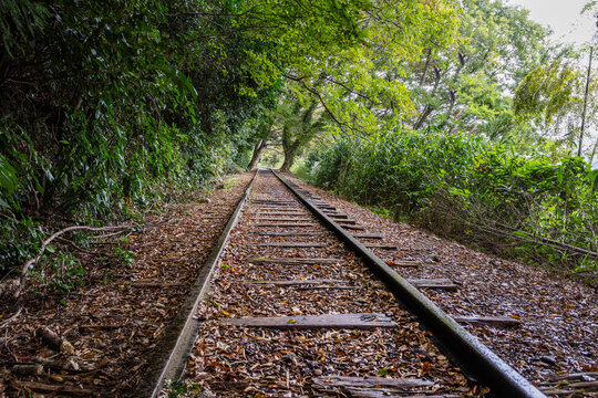 森の中の廃線レール　Abandoned railway line in the forest
