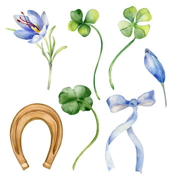 Watercolor set clover and crocus illustration isolated on white. Shamrock and ribbon bow hand drawn. Painted lucky symbol horseshoe. Design element for celebration St.Patricks day banner, postcard