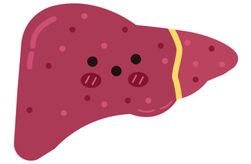 liver, cirrhosis disease. Human liver organ anatomy vector illustration on white background.Stage Of liver Disease Concept,Unhealthy Liver,Cirrhosis Medical Education,sad,red,yellow