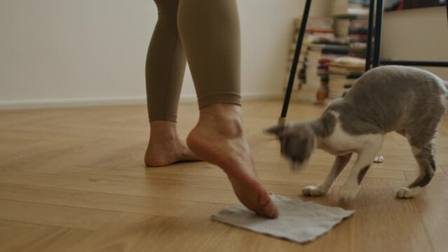 Leg exercises close up of woman moving foot on the apartment floor for muscle stretching yoga practice , her cat is walking around