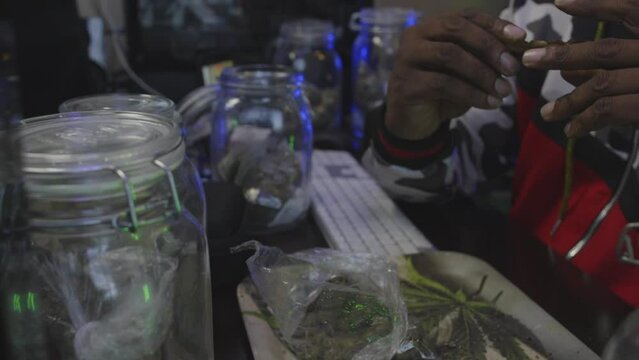 Slow motion footage of a black man filling a  tobacco wrapper with marijuana and rolling it into a blunt