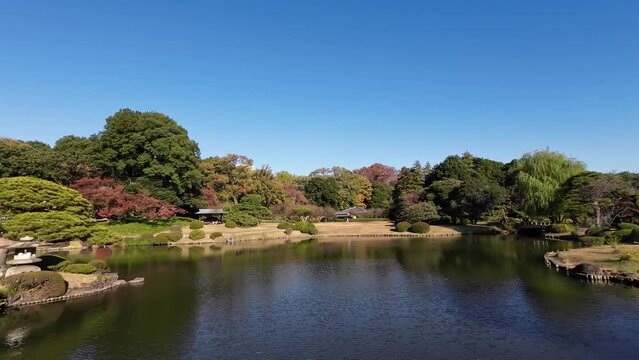 Nov 28 2023 Shinjuku Gyo en National Garden, Japan
