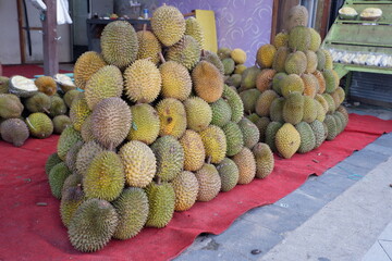 pile of durian fruit or king of fruit. Local types of durian or melak durian are sold at...