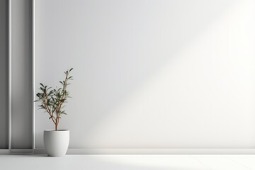 A blank white backdrop is adorned with potted plants.