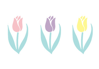Obraz premium パステルカラーのチューリップ