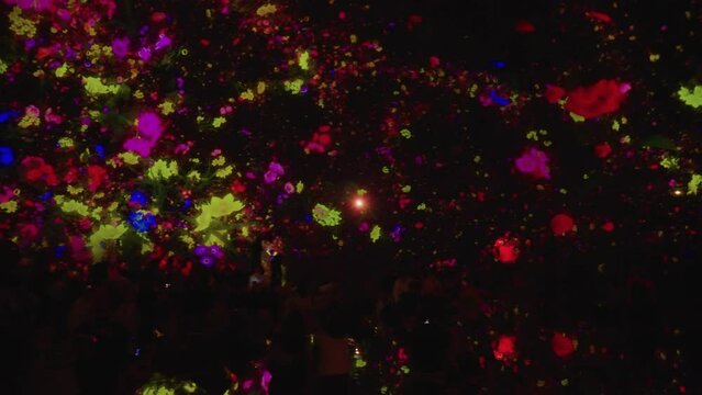 Flowers and Light 3D Digital Hologram Display in Tokyo Japan 4k