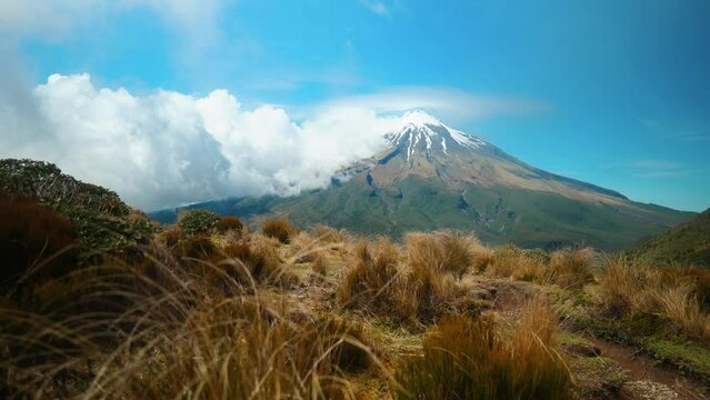 Mount Taranaki's grace with wind-blown grass in mesmerizing stock footage. Nature's dance of mountain and meadow unfolds.