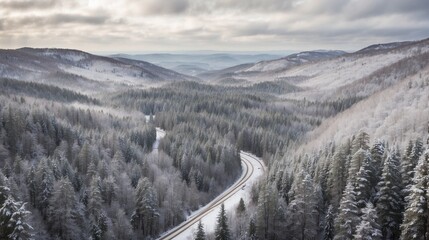 Aerial view of snowy forest road 