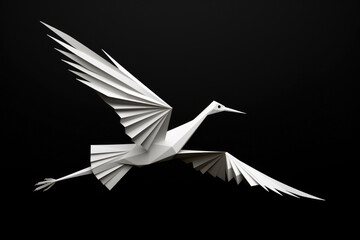 White Bird Flying in Dark