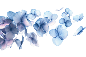 bouquet of blue flowers