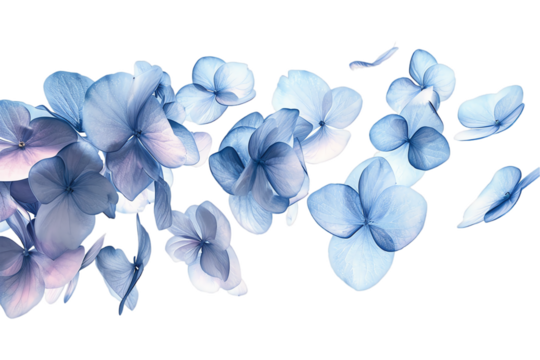 bouquet of blue flowers