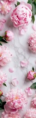 Pink peonies on a white marble background