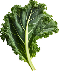 Green kale leaves isolated on transparent background. PNG