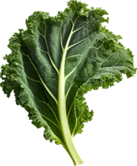 Poster Green kale leaves isolated on transparent background. PNG © Tran