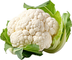 Cauliflower isolated on transparent background. PNG