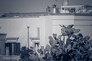 paesaggio urbano