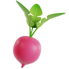 Radiant Red Radish