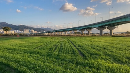 부산 대저생태공원 busan daejeopark