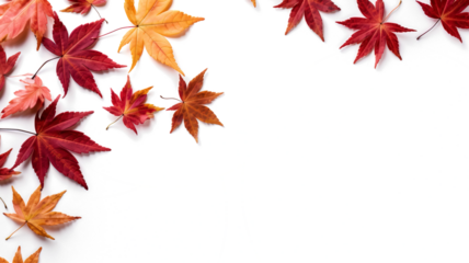 Autumn leaves isolated on transparent background. PNG