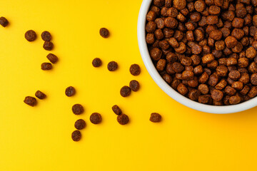 Bowl with dry pet food on yellow background studio shot