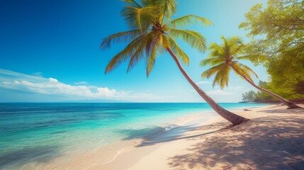 Fototapeta na wymiar Pristine Tropical Beach with Slanting Palms and Azure Sea