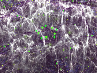 Imaginatory fractal abstract background Image