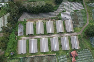 aerial view of agricultural land with mulch on the slopes of Mount Tangkuban Perahu in West Java....
