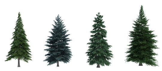 Fototapeta premium 3d rendering tree isolated cut background