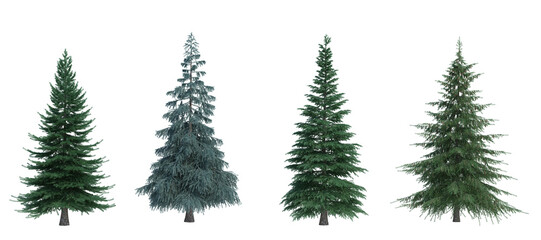 Obraz premium 3d rendering tree isolated cut background