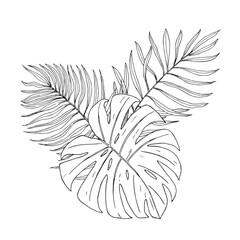 Vector composition with exotic leaves. Hand drawn illustration converted to vector. For printing on textiles, packaging, wallpaper, cards.