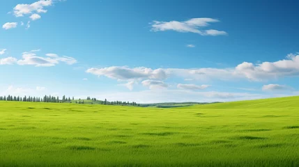 Fotobehang A vast and serene green field stretching as far as the eye can see under a clear blue sky. © Tran