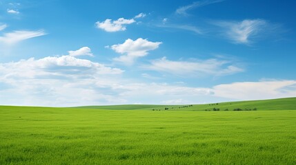 Fototapeta na wymiar A vast and serene green field stretching as far as the eye can see under a clear blue sky.