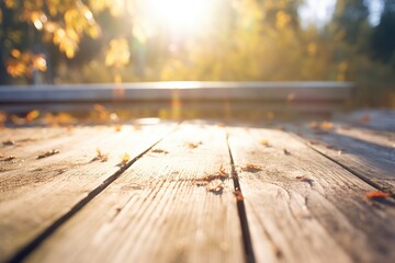 sunlight shining on a weathered wooden boardwalk