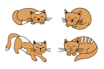 Hand drawn cat clipart. Cute pet doodle set