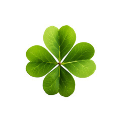 A single four-leaf clover isolated on a transparant background