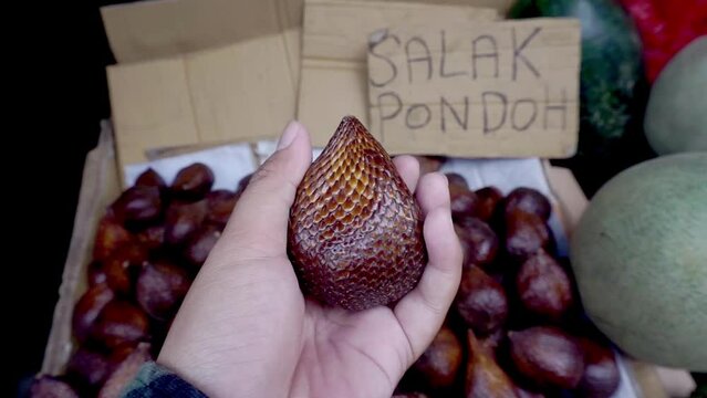 Salak ( snake fruit ) thorny palm fruits is the native fruit from indonesia, two types of salak the most people like are salak pondoh and salak bali.