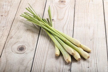 Lemongrass - Asian aroma plant for cooking